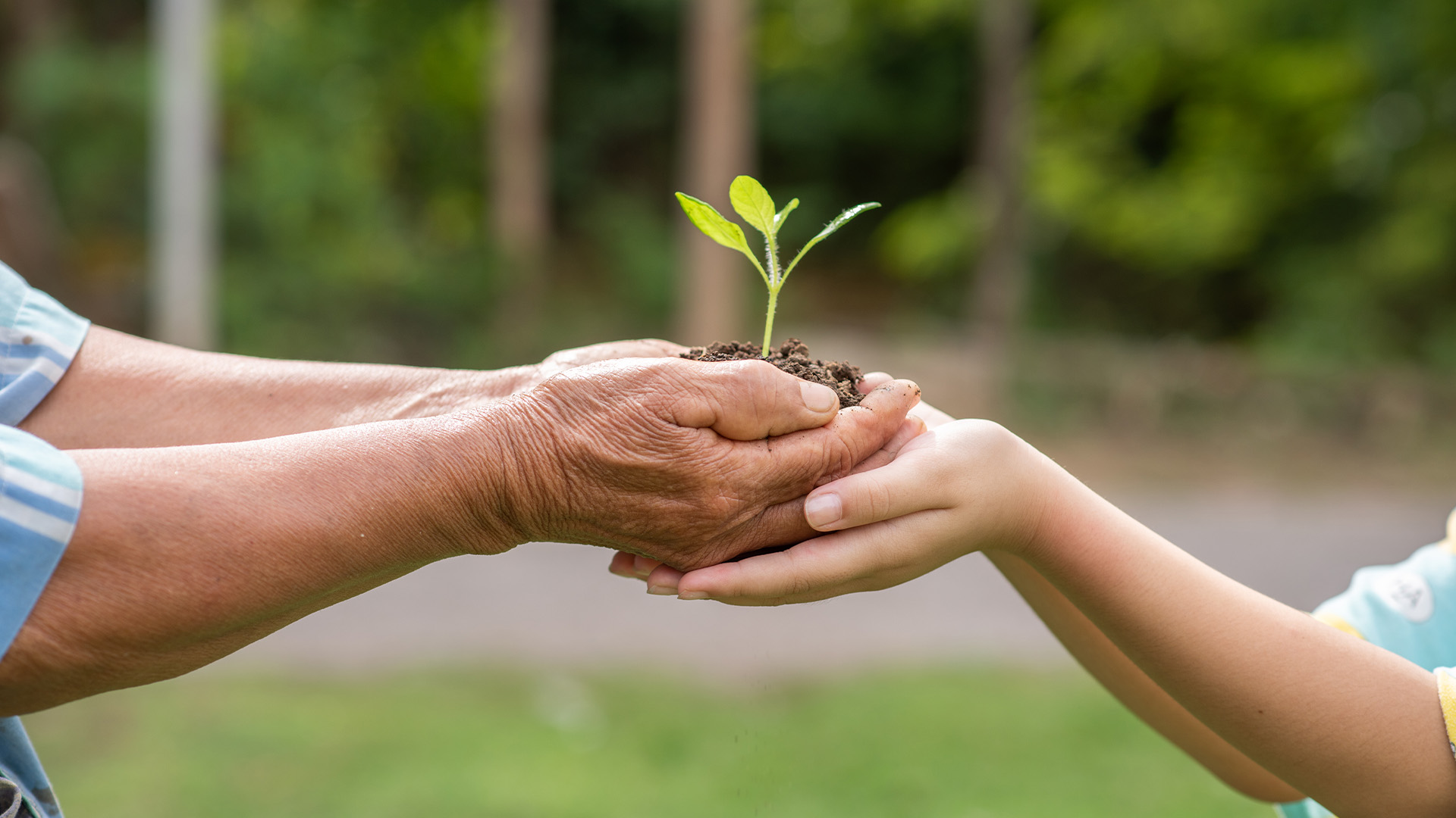Hikmətə gedən yolu birlikdə işıqlandıraq!